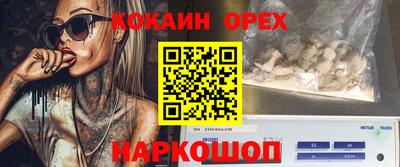 прущие грибы Норильск