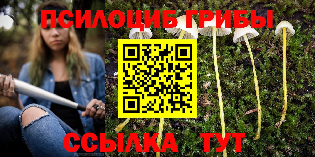 Канаш  Галлюциногенные грибы Psilocybe  Вход с VPN 
